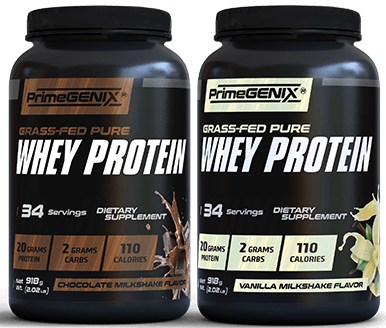 Whey Protein 